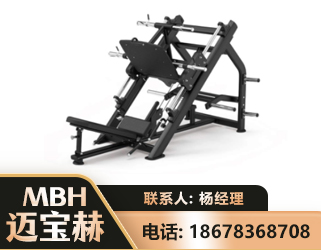 朔州45°倒蹬训练器